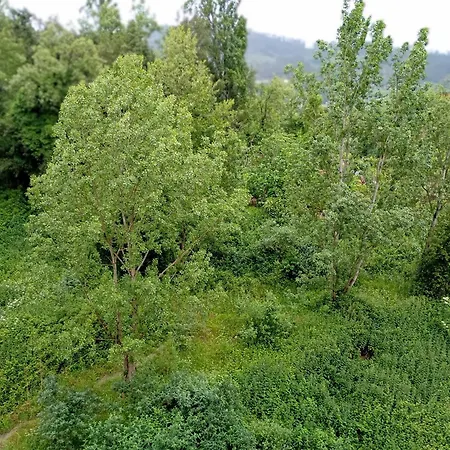 Reservaserfisosmar Daire *