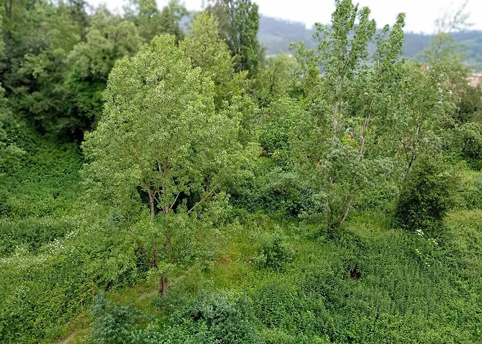 Reservaserfisosmar Apartment *